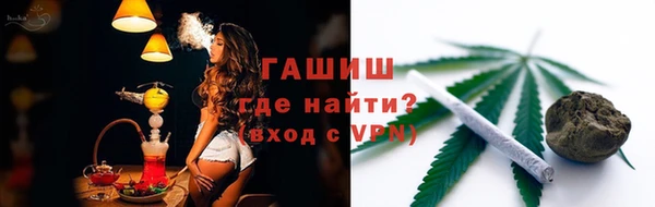 шишки Кодинск