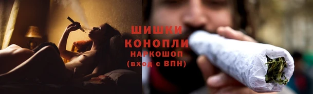 шишки Кодинск