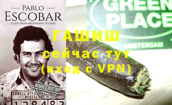 гашик Козловка