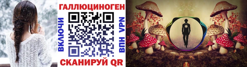 Псилоцибиновые грибы GOLDEN TEACHER  Купить закладки  Юрга 